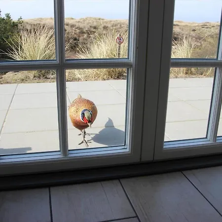 Fan013-fano-sonderho-strandvej-69 * Fanø