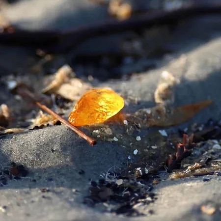 펜션 Fan013-fano-sonderho-strandvej-69