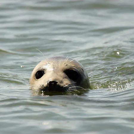 펜션 Fan013-fano-sonderho-strandvej-69 *