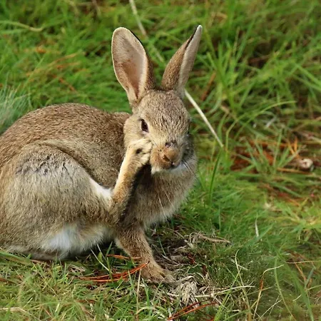 Fan013-fano-sonderho-strandvej-69 * Fanø