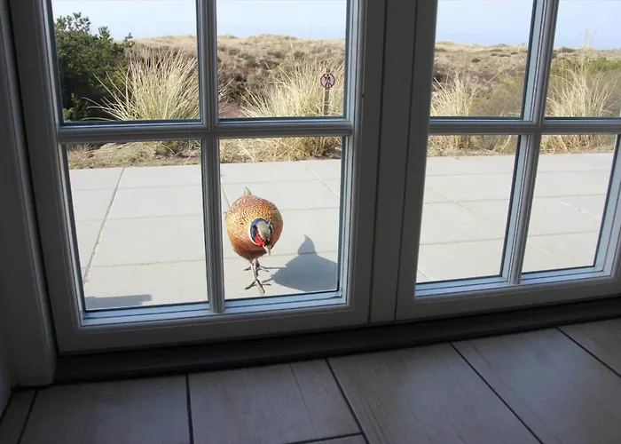 Fan013-fano-sonderho-strandvej-69 Holiday home