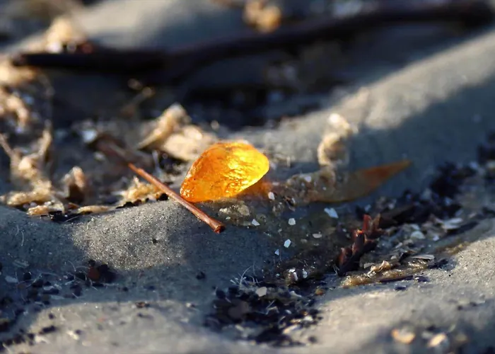 Fan013-fano-sonderho-strandvej-69 * Fano