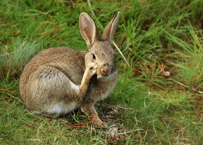 Fan013-fano-sonderho-strandvej-69 Fano